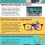 Latest Trend Sunglasses - Latest Trend Sunglasses