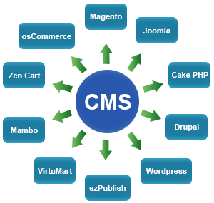 cms development-300x285 Website Designing