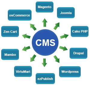 cms development-300x285 Website Designing 