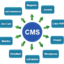 cms development-300x285 - Website Designing 