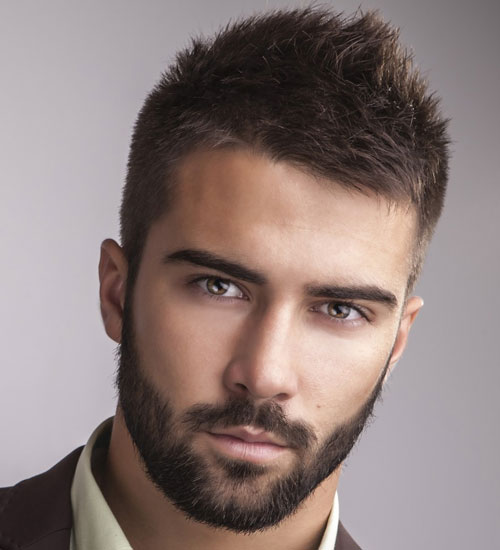 Hairstyles-For-Men-with-Beards-Professional-Beard Picture Box