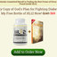buy-hl-12-holy-supplement - HL 12 Supplement