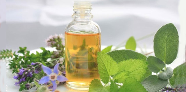 Aromatic Essential Oil Medicinal Herb