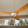 Designer Fans - Picture Box
