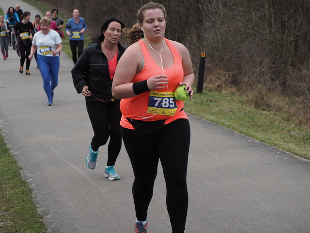 P3110267 Halve van Oostvoorne 11-3-2017