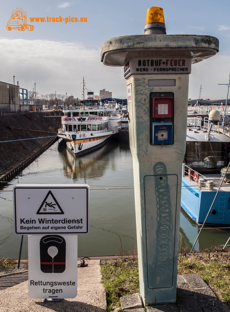 Hafen KÃ¶ln Niehl-14 Hafen KÃ¶ln Niehl, 2017, KÃ¶ln DÃ¼sseldorfer