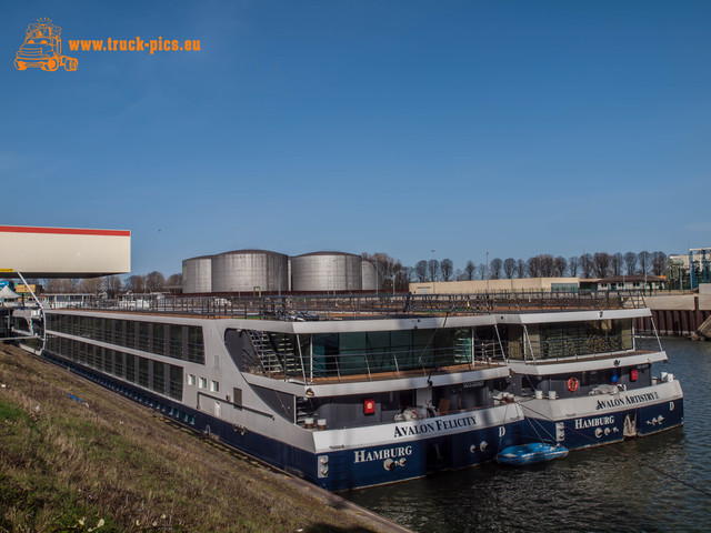 Hafen KÃ¶ln Niehl-17 Hafen KÃ¶ln Niehl, 2017, KÃ¶ln DÃ¼sseldorfer