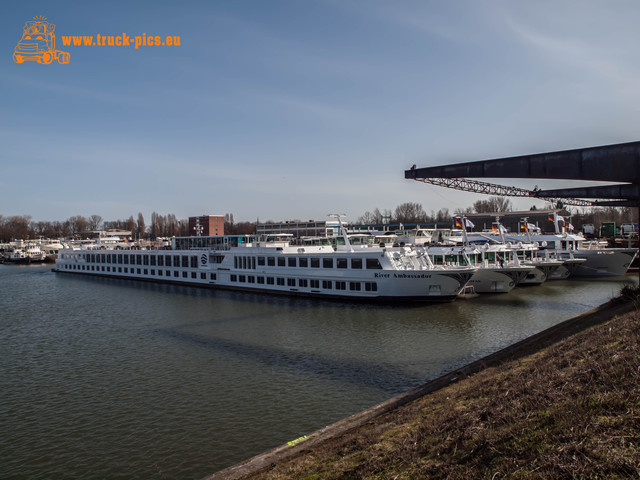 Hafen KÃ¶ln Niehl-19 Hafen KÃ¶ln Niehl, 2017, KÃ¶ln DÃ¼sseldorfer