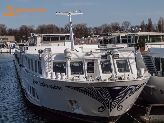 Hafen KÃ¶ln Niehl-20 Hafen KÃ¶ln Niehl, 2017, KÃ¶ln DÃ¼sseldorfer