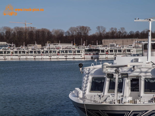 Hafen KÃ¶ln Niehl-25 Hafen KÃ¶ln Niehl, 2017, KÃ¶ln DÃ¼sseldorfer