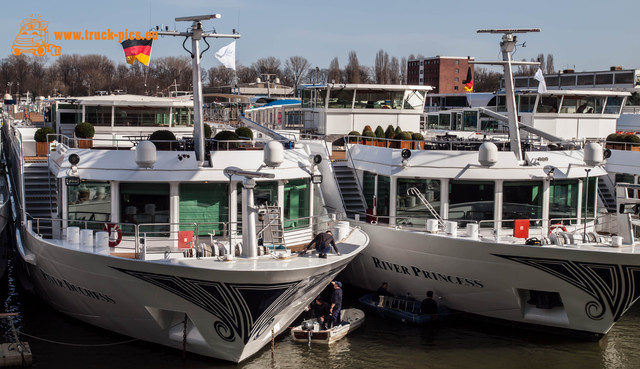 Hafen KÃ¶ln Niehl-26 Hafen KÃ¶ln Niehl, 2017, KÃ¶ln DÃ¼sseldorfer