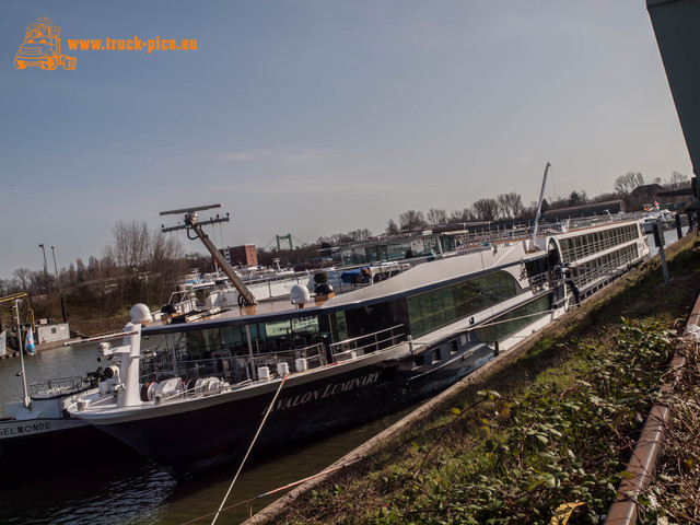 Hafen KÃ¶ln Niehl-29 Hafen KÃ¶ln Niehl, 2017, KÃ¶ln DÃ¼sseldorfer