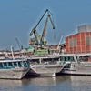 Hafen KÃ¶ln Niehl-31 - Hafen KÃ¶ln Niehl, 2017, KÃ...