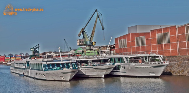 Hafen KÃ¶ln Niehl-31 Hafen KÃ¶ln Niehl, 2017, KÃ¶ln DÃ¼sseldorfer