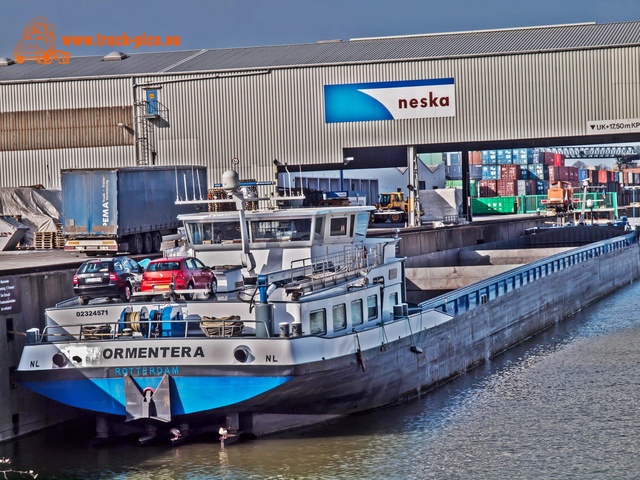 Hafen KÃ¶ln Niehl-32 Hafen KÃ¶ln Niehl, 2017, KÃ¶ln DÃ¼sseldorfer