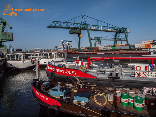 Hafen KÃ¶ln Niehl-33 Hafen KÃ¶ln Niehl, 2017, KÃ¶ln DÃ¼sseldorfer