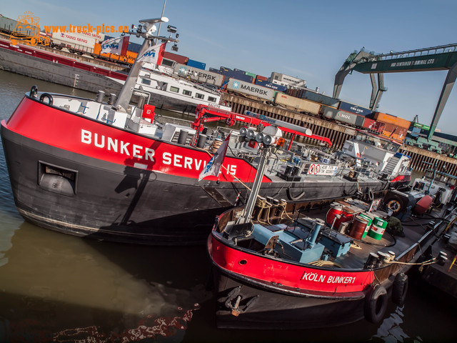 Hafen KÃ¶ln Niehl-35 Hafen KÃ¶ln Niehl, 2017, KÃ¶ln DÃ¼sseldorfer