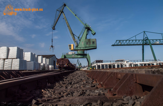 Hafen KÃ¶ln Niehl-36 Hafen KÃ¶ln Niehl, 2017, KÃ¶ln DÃ¼sseldorfer