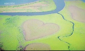 90401044931391--ss - 