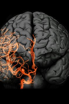1cf32b487552f62b748ab209ec6ab9af http://powerupmale.com/alpha-brain-memory-and-focus/