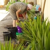 landscapers perth - Perth Gardening