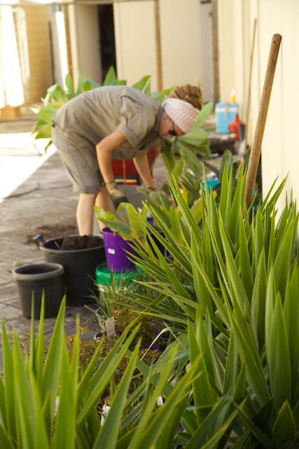 landscapers perth Perth Gardening