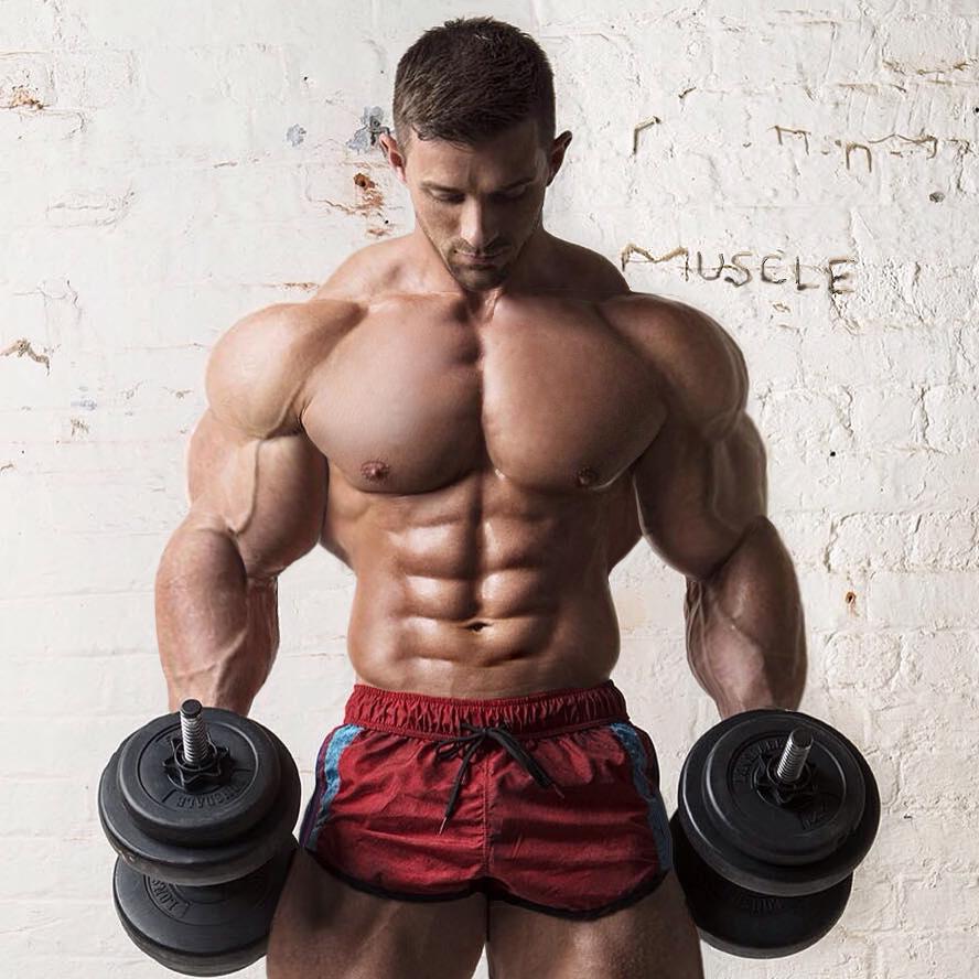 Building Muscle Fast To Utilize Picture Box