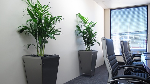 plant hire brisbane Prestigious Plantscapes