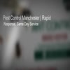 Pest Control Manchester | R... - pest control Manchester