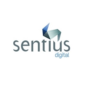 Logo - Sentius Digital - Anonymous