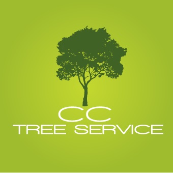 Tree Trimmer Service Corpus Christi CC Tree Service