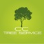 Tree Trimmer Service Corpus... - CC Tree Service