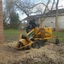 Tree Stump Removal Corpus C... - CC Tree Service