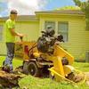 Tree Landscaping Corpus Chr... - CC Tree Service