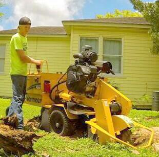 Tree Landscaping Corpus Christi CC Tree Service