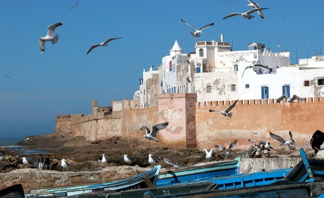 Day Trip to Essaouira Pure Morocco Tours & Travel
