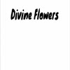 Brisbane Flowers - Divine Flowers