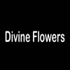Flower Delivery Brisbane - Divine Flowers