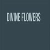 same day flower delivery Br... - Divine Flowers
