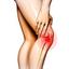 Pain Relief For Canines Suf... - Picture Box