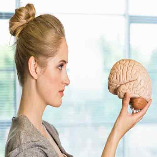 brain 2 Picture Box