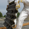 Testing For Asbestos In Artex Ceilings