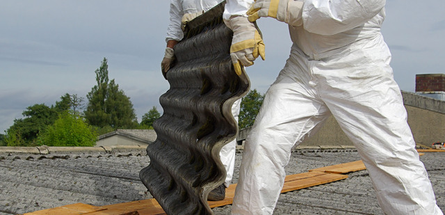 Asbestos Testing kit Testing For Asbestos In Artex Ceilings