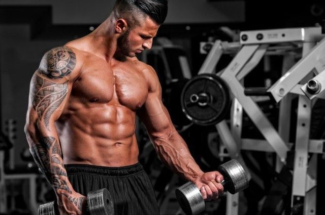 Ultimate Alpha Extreme Ultimate Alpha Extreme