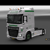 ets2 Daf 116 XF e6 4x2 A.A - prive skin ets2