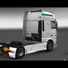 ets2 Daf 116 XF e6 4x2 A.A - prive skin ets2