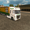 ets2 Daf 116 XF e6 4x2 A.A - prive skin ets2