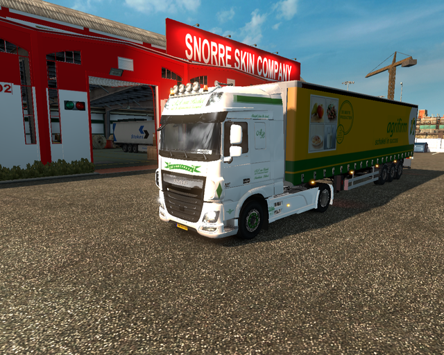 ets2 Daf 116 XF e6 4x2 A.A prive skin ets2