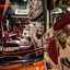 Truck Show Ciney 2017-138 - Ciney Truck Show 2017 powered by www.truck-pics.eu