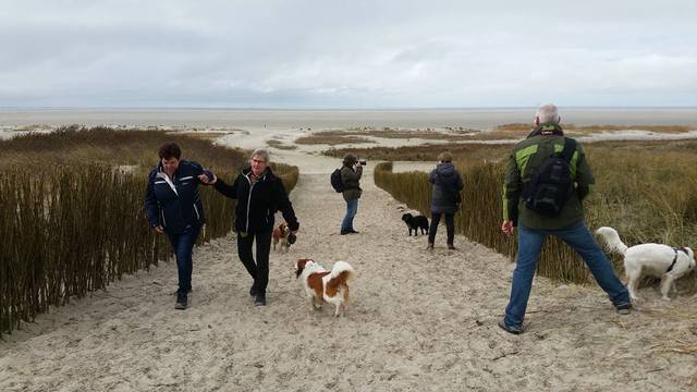 17799353 1140877916039266 1154823588641123885 n schiermonnikoog